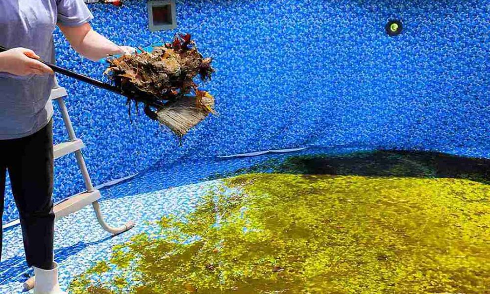 Hobe Sound pool services professional removing leaves and debris with skimmer net from neglected swimming pool.
