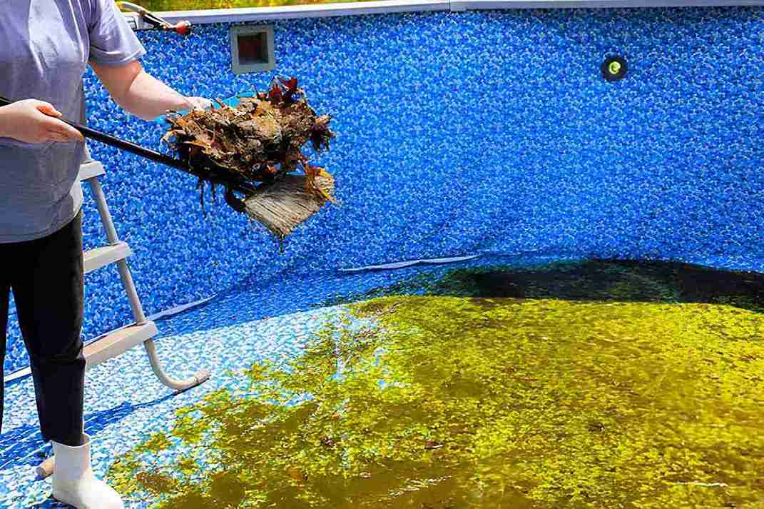 Hobe Sound pool services professional removing leaves and debris with skimmer net from neglected swimming pool.